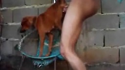 Тощий чудик ебет собачку в пизду zoo porn video