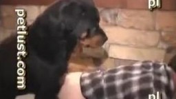 Зрелый извращенный гей дал собаке размять сфинктер видео зоо