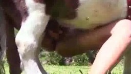 Низкорослая лошадка трахает голую зоофилку в пилотку зоо порно видео