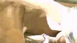 Распущеный гей взял в рот охуенный конячий писюн зоо порно с конем