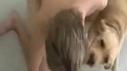 Гомик с волосатой грудью порется с домашней собакой порно зоо видео