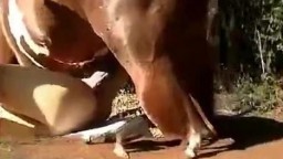 Притягательная рыжекудрая зоофилка переспала с вороным зоо ёбля онлайн