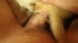 Извращенец сношает тузика в тугой анус порнозоо фильм любительский