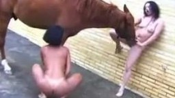 Секс с лошадью обнаженные стройняшки пробуют заняться сексом с конем зоопорно втроем