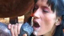 Sex horse дама с косами ест конячью кончину zoo с жеребцом