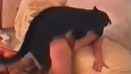 Porn video zoo активный пес дрючит в писю зоофилку частное видеофильм