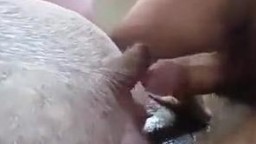 Зоофил с торчащим хуем ебет свиней в загородке зоопорно с хрюшками